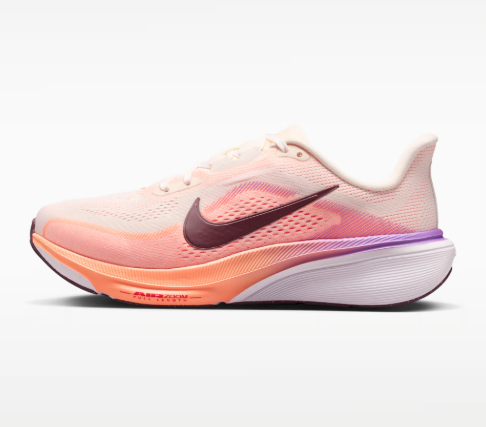 Nike Pegasus 42