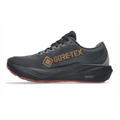 ASICS GT-2000 15 GTX